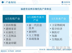 <b>2025年福建省泉州市新质出产力成长研判：聚焦县</b>